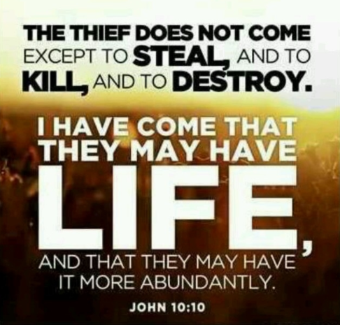 life and life more abundant image