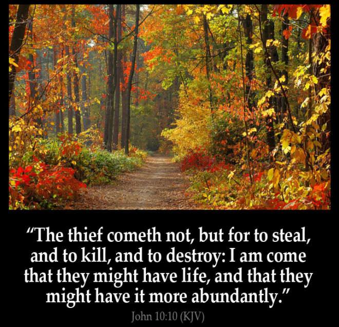 john 10 verse 10 life more abundant