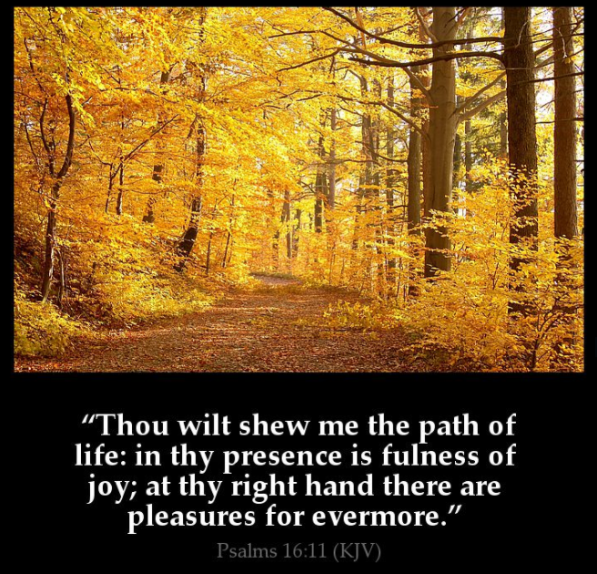 thou show me path of life proverbs