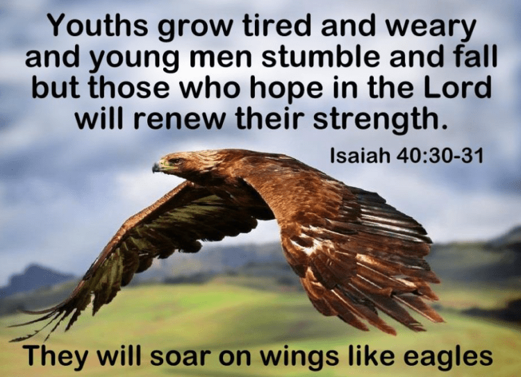 youth stumble but isaiah says they can soar.PNG